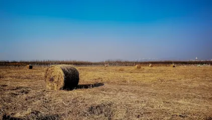 Winzinator Kasino Apl Mudah Alih